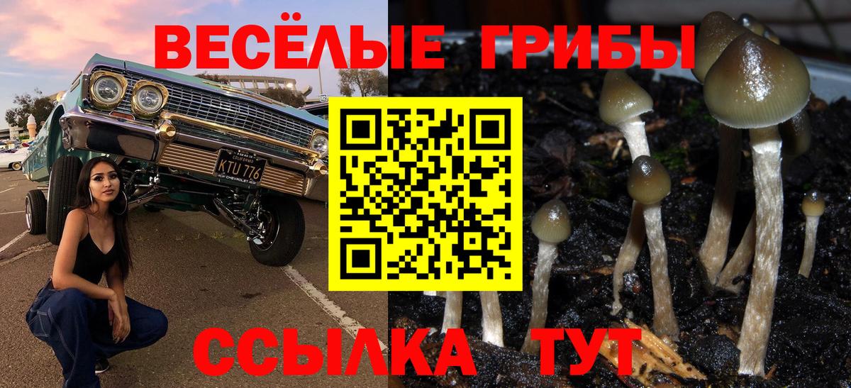 Псилоцибиновые грибы мицелий Вичуга